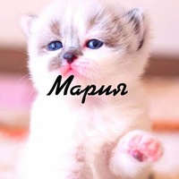 Маша Богданова | Санкт-Петербург