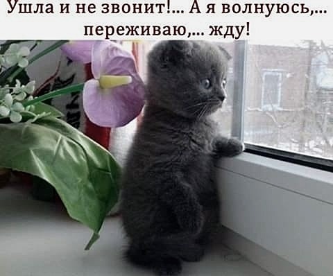 https://pp.userapi.com/c848616/v848616423/11108c/dh9iGkEo_T4.jpg