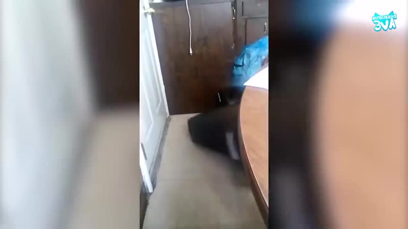 ТЕСТ НА ПСИХИКУ