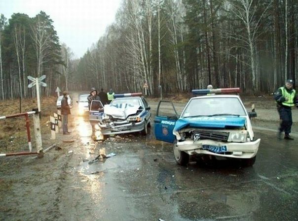 Лес виноват. Без вариантов