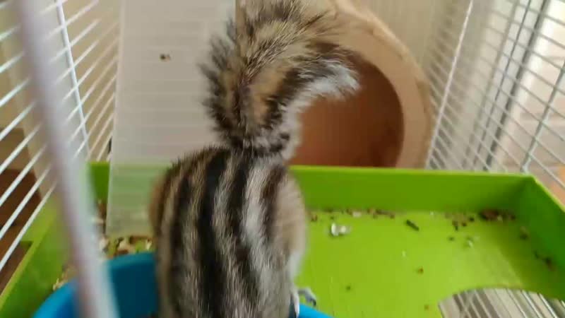 V_20190208_151250_vHDR_On.mp4