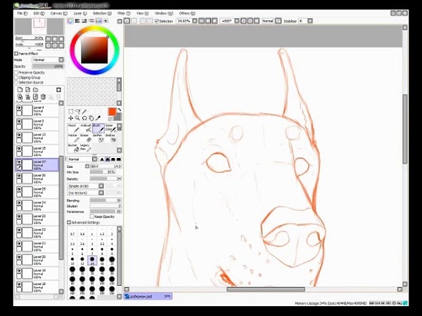 Speedpaint - Doberman