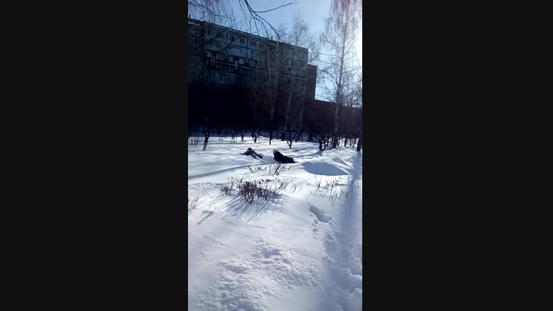 Будни 8а