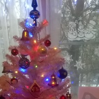 Натка Митрофанова