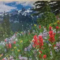 Наталья Колеватова | Киров