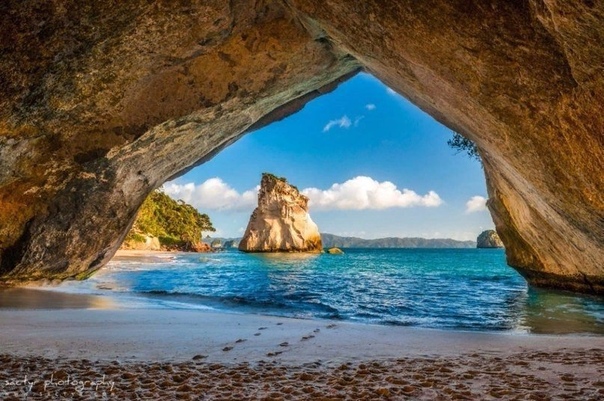 Морской заповедник Te Whanganui-A-Hei, Новая Зеландия