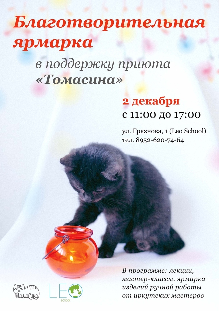 Афиша Иркутск Ярмарка в поддержку приюта кошек "Томасина"