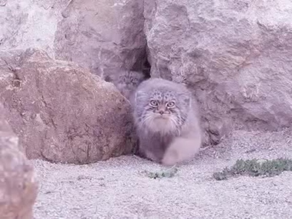 Когда не спится