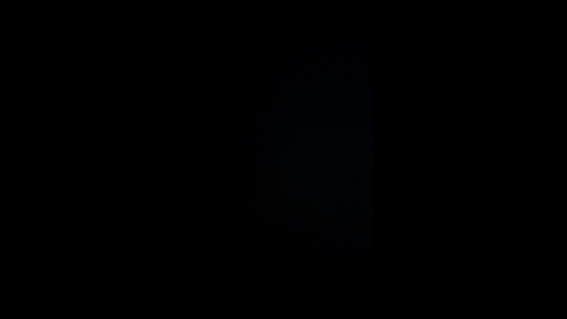 Дмитрий Видманов — Live