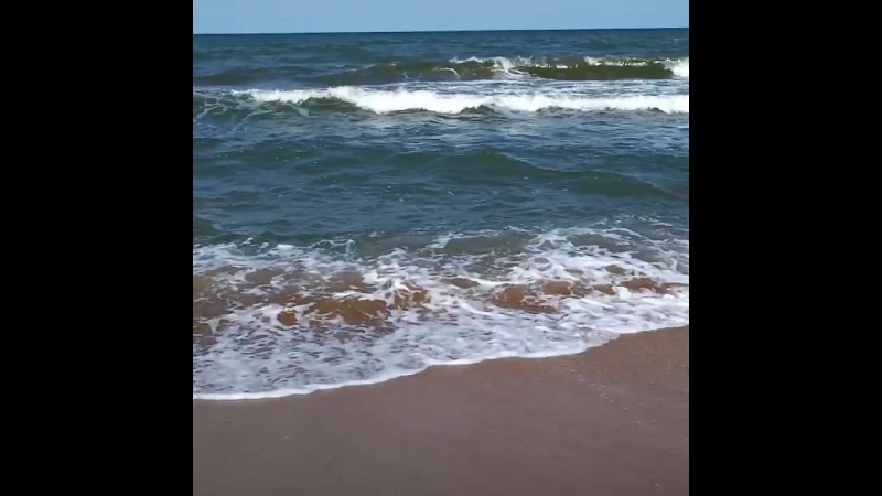 VID_78860510_081643_164.mp4