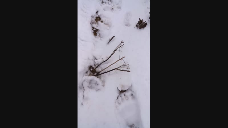 VID_20181205_150528