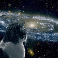 Анна Леснова