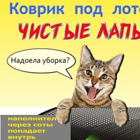 Чистые Лапы