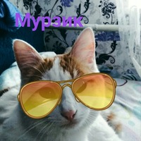 Ольга Черкашина | Перелески