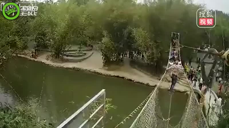 DP