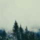 https://pp.userapi.com/c848624/v848624242/108cd0/DedSOpfsxJY.jpg