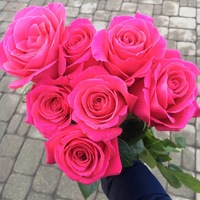 Наталья Науменко | Гомель