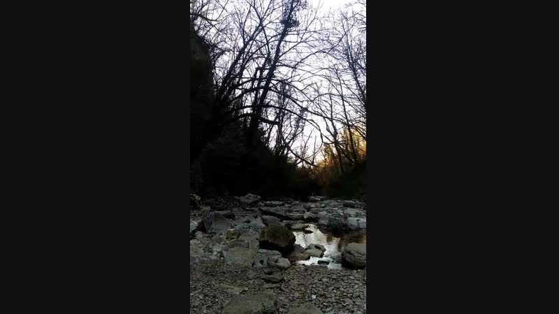 V_20190121_114034.mp4