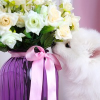 Вика Бредихина | Южноуральск