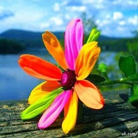 Наталья Сарапулова | Пермь