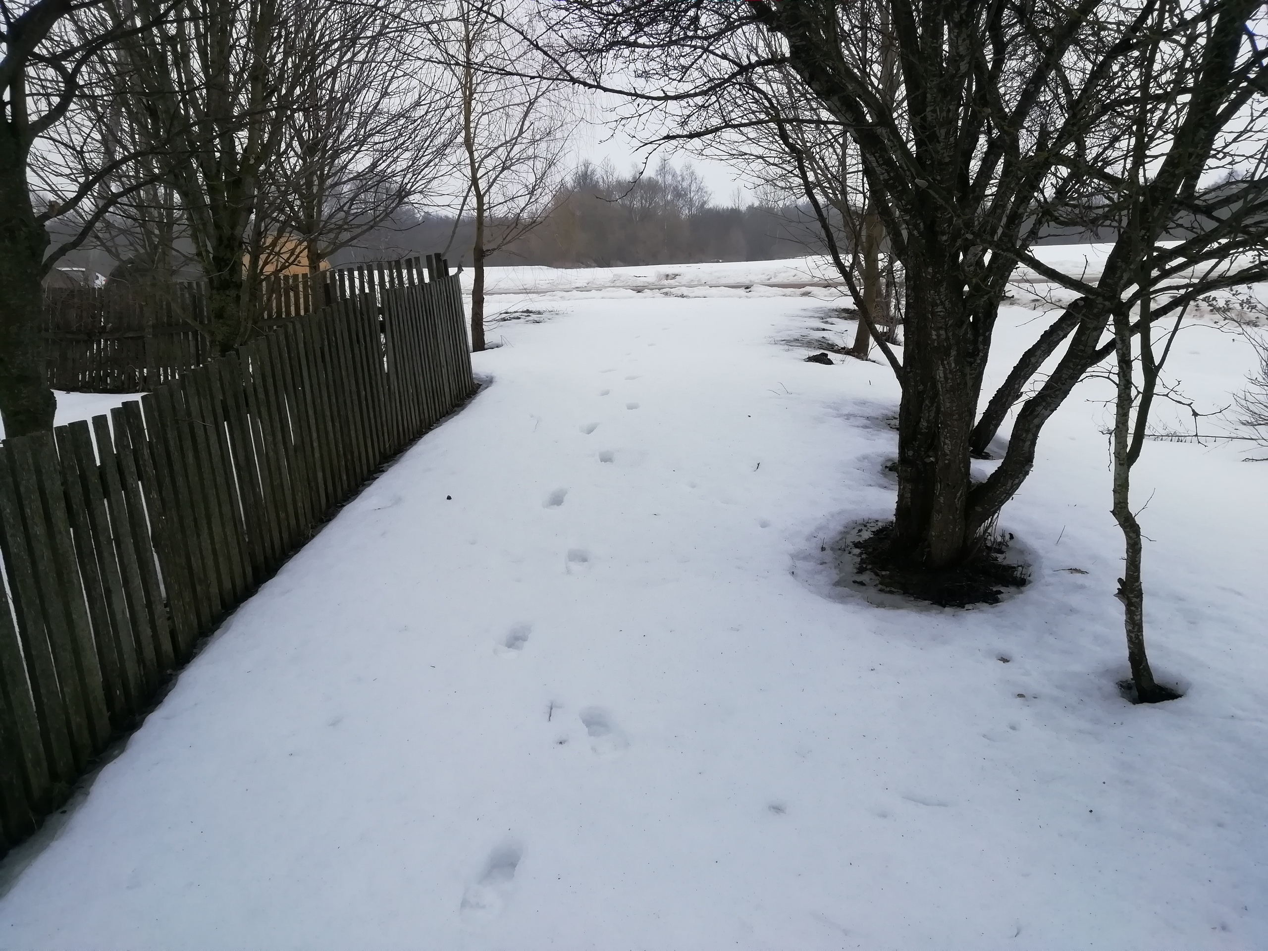 Как люди живут зимой в деревне? Как люди живут зимой в деревне? Дача