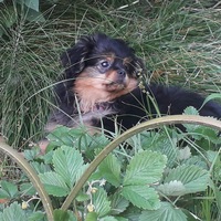 Стас Щербаков