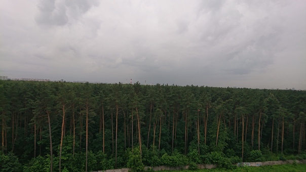 м. Новокосино. 15мин. пешком. 10й эт. Вокруг лесопарк, зелень красота, недалеко ТЦ, Ашан, кинотеатр. Сдаются 2 комнаты в трёшке - зал и малая. 17К и 13К соответственно - свет, вода, нэт - отдельно. В третьей - девушка, и будут жить ТОЛЬКО ДЕВУШКИ!!! По технике и мебели всё есть, мелочи типо перестановок и вещей обговариваются. Большой зал с балконом и курилкой. В комнате кровать-чердак, кому удобно для большего пространства С/У раздельный, комнаты изолированы под ключ. Есть кладовка.<br>Заехать - среда-четверг, чем раньше, тем лучше.<br>СРАЗУ предупрежу - дамы если вам жильё не к спеху - это не ваш вариант. Если вы ищите за эту сумму евроремонт - тоже нет Риелторы и прочие помощники - удачи в вашей не лёгкой жизни проходите мимо, ибо собственник живёт в другой части нашей планеты. <br>И да, залог 5К. Возврат по выезду. Если есть (неглупые) вопросы - пишите в лс<br> Мартынов - фото Фото: м. Новокосино. 15мин. пешком. 10й эт. Вокруг лесопарк, зелень красота, недалеко ТЦ, Ашан, кинотеатр. Сдаются 2 комнаты в трёшке - зал и малая. 17К и 13К соответственно - свет, вода, нэт - отдельно. В третьей - девушка, и будут жить ТОЛЬКО ДЕВУШКИ!!! По технике и мебели всё есть, мелочи типо перестановок и вещей обговариваются. Большой зал с балконом и курилкой. В комнате кровать-чердак, кому удобно для большего пространства С/У раздельный, комнаты изолированы под ключ. Есть кладовка.<br>Заехать - среда-четверг, чем раньше, тем лучше.<br>СРАЗУ предупрежу - дамы если вам жильё не к спеху - это не ваш вариант. Если вы ищите за эту сумму евроремонт - тоже нет Риелторы и прочие помощники - удачи в вашей не лёгкой жизни проходите мимо, ибо собственник живёт в другой части нашей планеты. <br>И да, залог 5К. Возврат по выезду. Если есть (неглупые) вопросы - пишите в лс<br> Мартынов