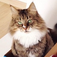 Эдик Днепровский