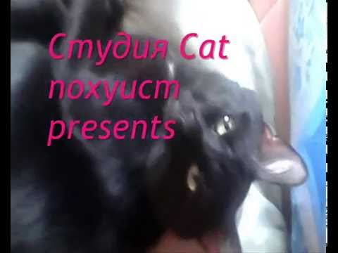 Как мы сьели Леху