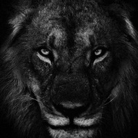 Дядь Черезногов