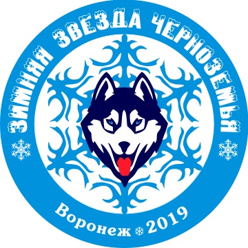 Афиша Воронеж "Зимняя Звезда Черноземья - 2019"