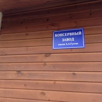 Елена Лосунова