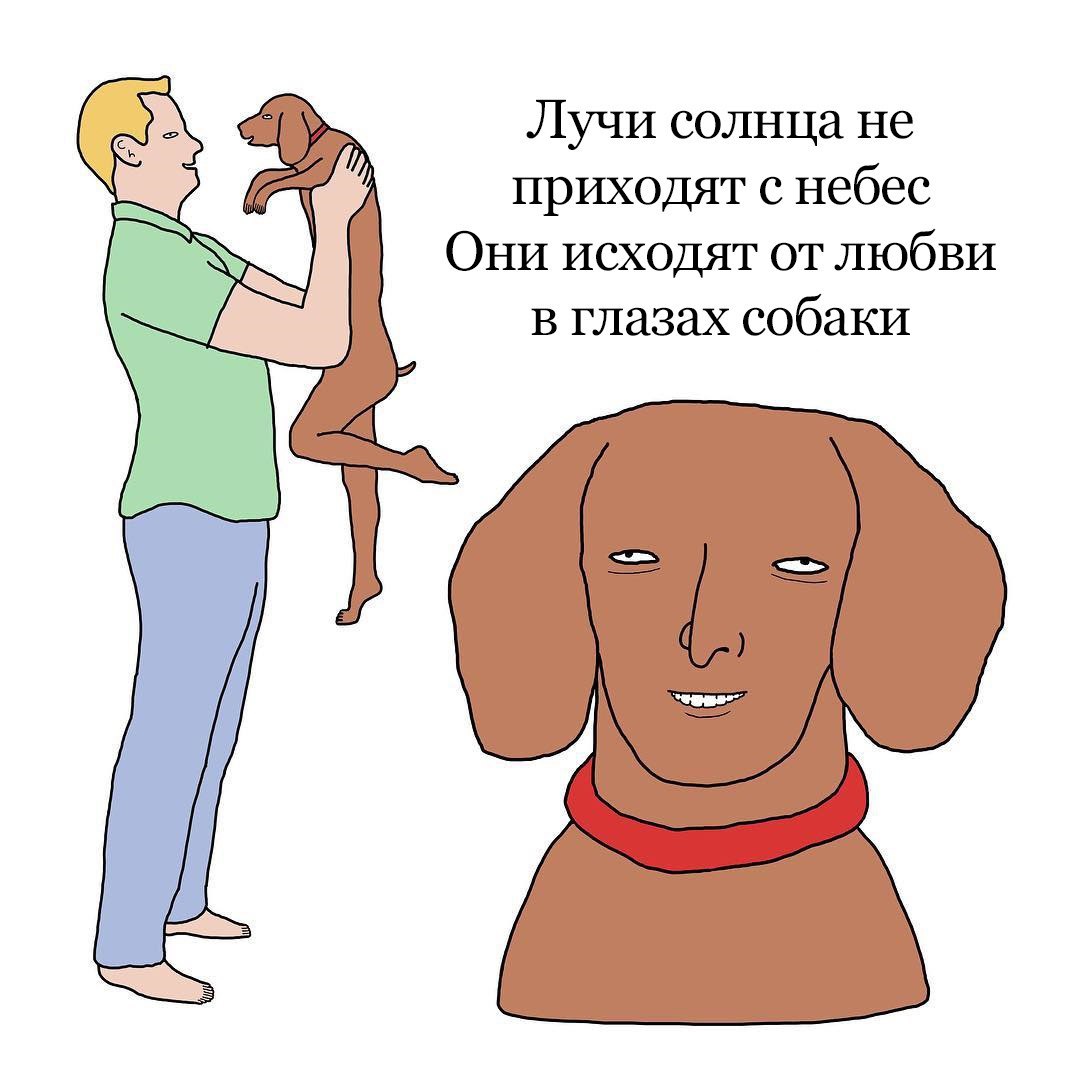 _9N5i88vqSo.jpg