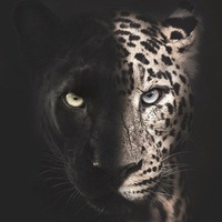 Екатерина Коннова | Оренбург