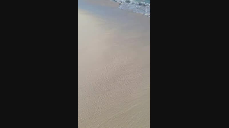 20180415_171221.mp4
