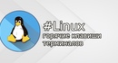 Горячие клавиши терминала в Linux. Как посмотреть историю команд и последние параметры?