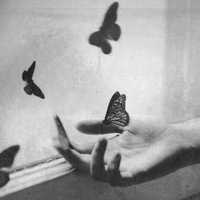 Светлана Чижова | 