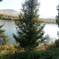 Людмила Бауэр | Лесосибирск