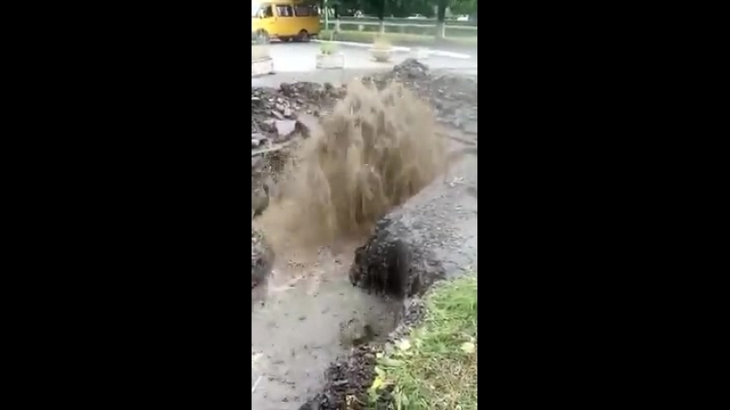Говномесы