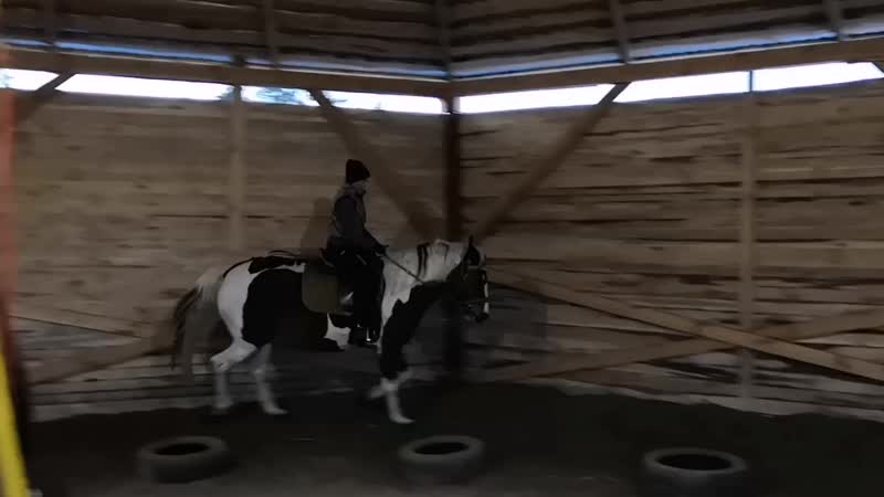 VID_20181127_171009.mp4