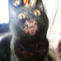 Катя Ткаченко | Волгоград