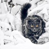Екатерина Хмура
