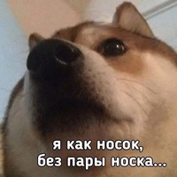 Твоя Подруга | Лоховка