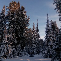Татьяна Бетёва