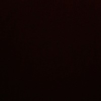 Элина Ильясова | 