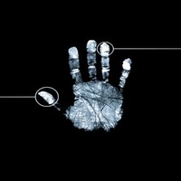 Вася Ветров