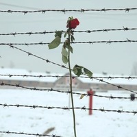 Ильдар Галимов | Мелеуз