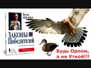 Орлы и утки