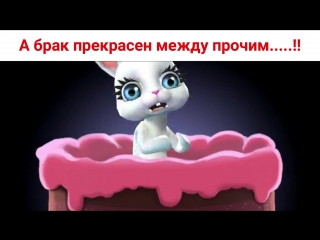 А брак прекрасен между прочим.....!! Юмор и шутки от Зайки Zoobe.