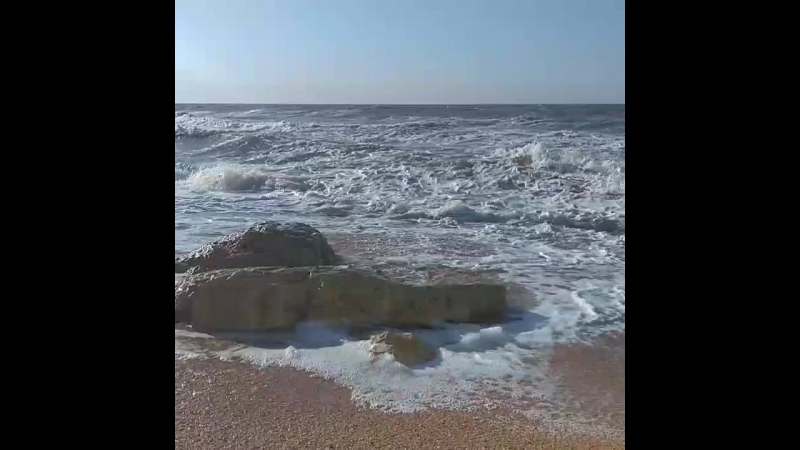 2018 голубицкая